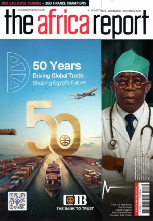 The Africa Report n°133
