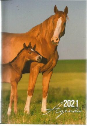Mini-Agenda Cheval/Paard n°2021
