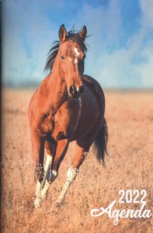 Mini-Agenda Cheval/Paard n°2022