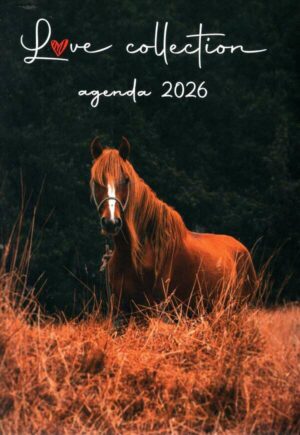 Mini-Agenda Cheval/Paard