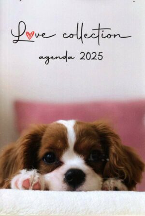 Mini-Agenda Chien/Hond n°2025