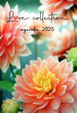 Agenda Love Collection Flowers n°2025
