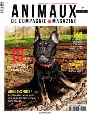 Animaux De Compagnie