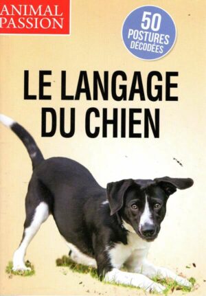 Animal Passion n°62