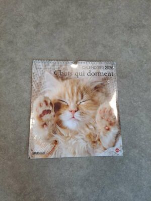 Calendrier - Chats Qui Dorment n°2