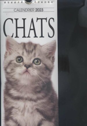 Calendrier - Chats n°1