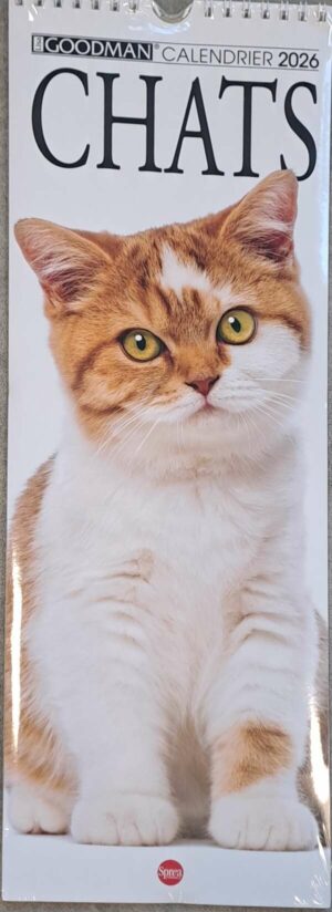 Calendrier - Chats