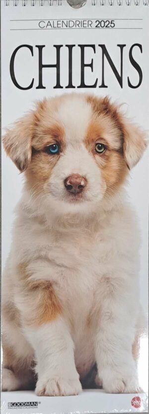 Calendrier Chiens n°1