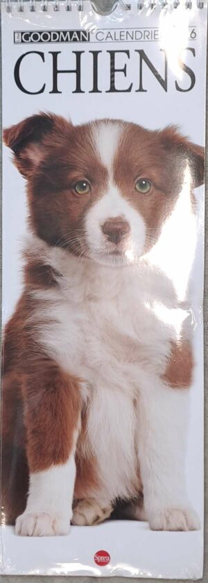 Calendrier Chiens
