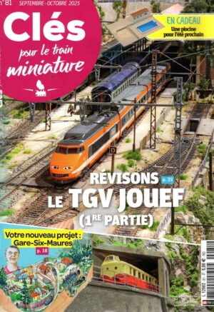 Cles Pour Train Miniature n°81