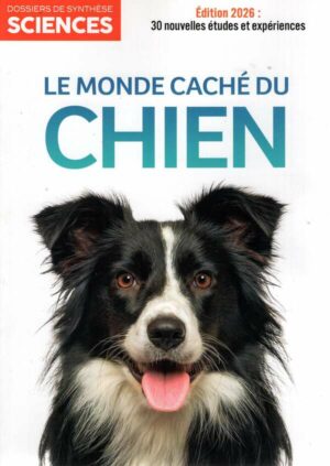 Dossier de Synthèse Sciences n°31