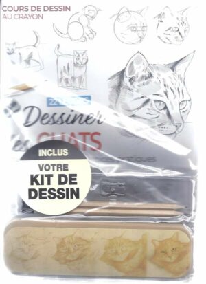 Cours De Dessin Au Crayon n°19