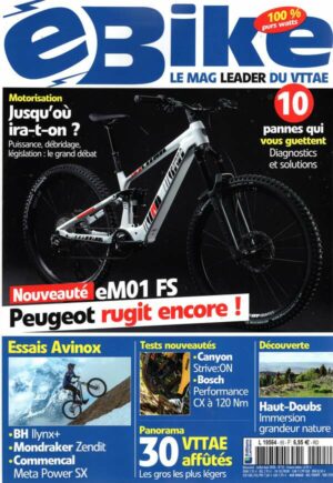 E Bike