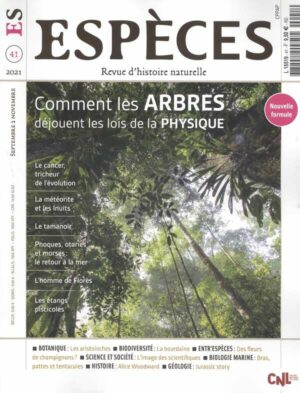 Especes n°41