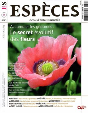 Especes n°55