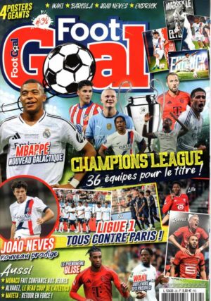 Foot Goal n°38