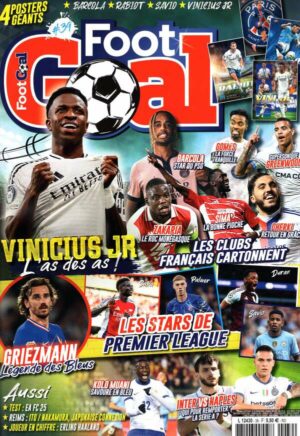 Foot Goal n°39