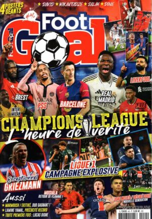 Foot Goal n°40