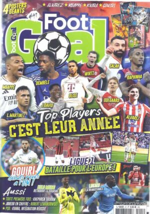 Foot Goal n°41