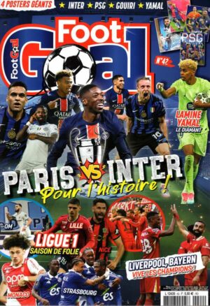 Foot Goal n°42