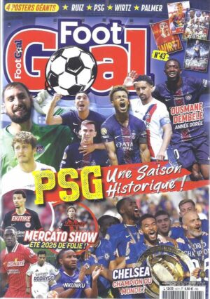Foot Goal n°43