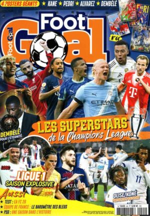 Foot Goal n°44