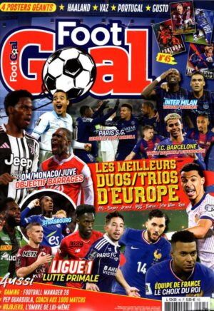 Foot Goal n°45