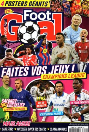 Foot Goal n°46