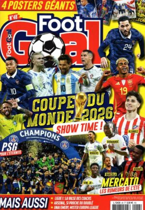 Foot Goal n°48