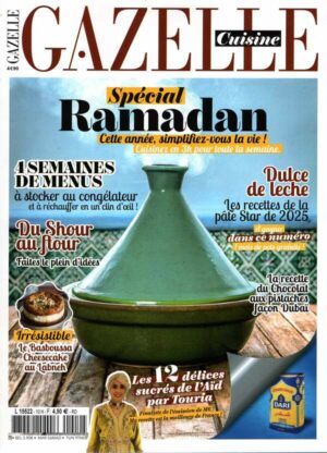 Gazelle Cuisine H.S. n°10