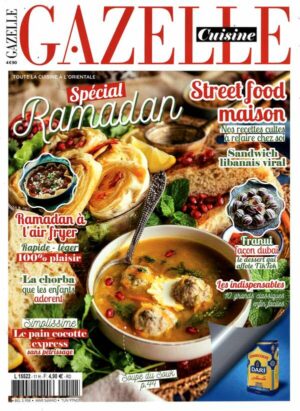 Gazelle Cuisine H.S. n°11