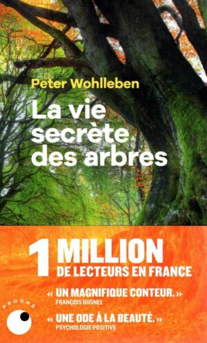 La Vie Secrete Des Arbres
