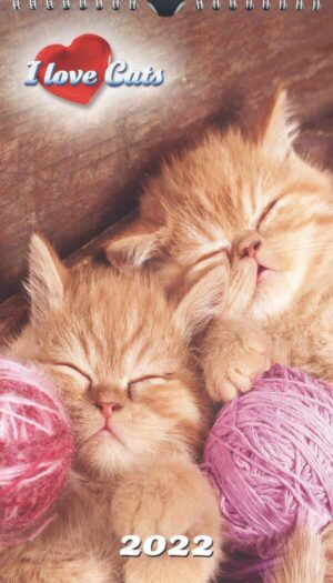 Calendrier - I Love Cats n°2022