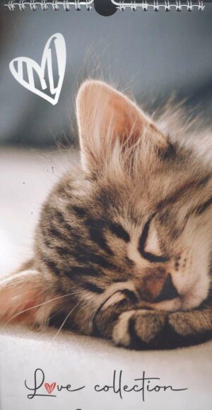 Calendrier - I Love Cats n°2023