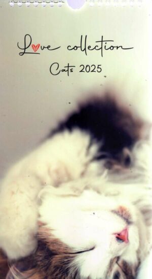 Calendrier - I Love Cats n°2025