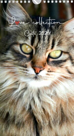 Calendrier - I Love Cats n°2026