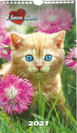 Calendrier - I Love Cats n°R021