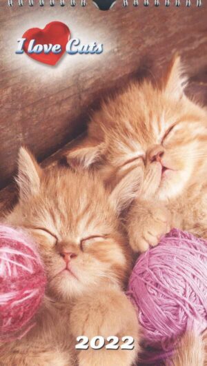 Calendrier - I Love Cats