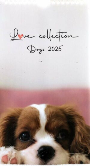 Calendrier - I Love Dogs n°2025