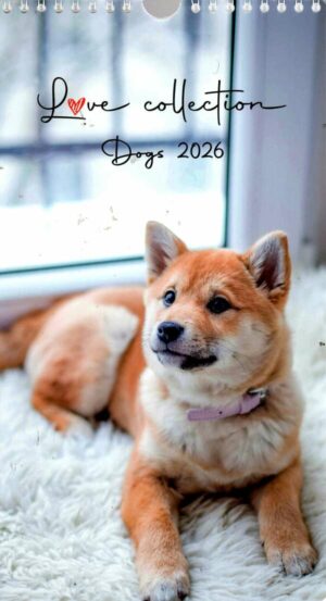 Calendrier - I Love Dogs n°2026