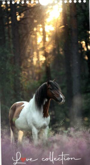 Calendrier - I Love Horses n°2025