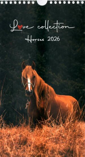 Calendrier - I Love Horses n°2026