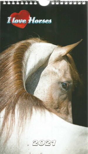 Calendrier - I Love Horses n°R021