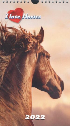 Calendrier - I Love Horses