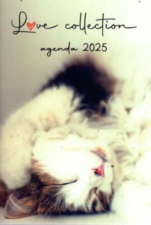 Mini-Agenda Chat/Kat n°2025