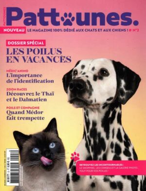 Pattounes n°3