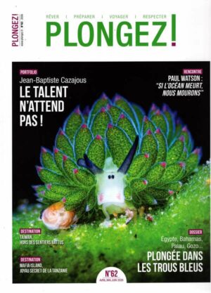 Plongez !