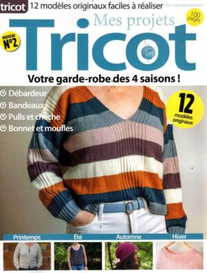 Projets Tricot(Mes) n°2