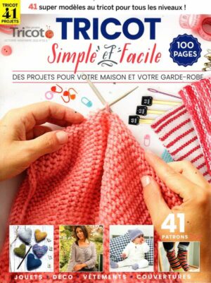 Projets Tricot(Mes) n°3