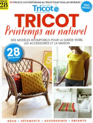 Projets Tricot(Mes) n°5
